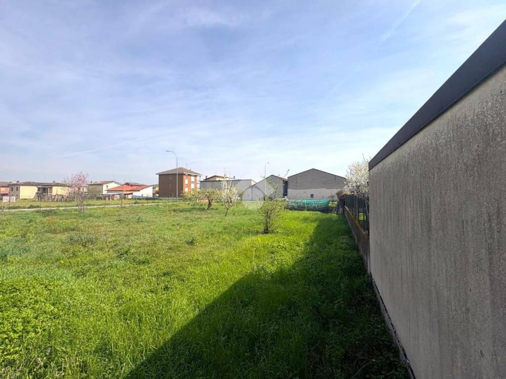 immagine annuncio 2 di 11