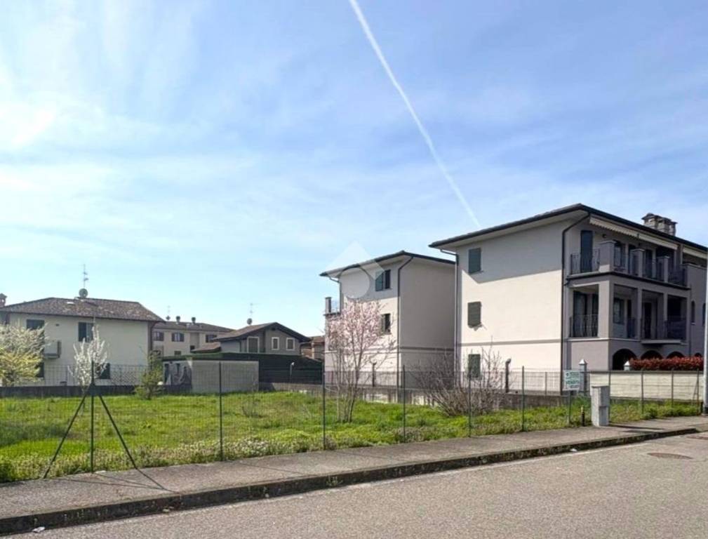 immagine annuncio 3 di 11