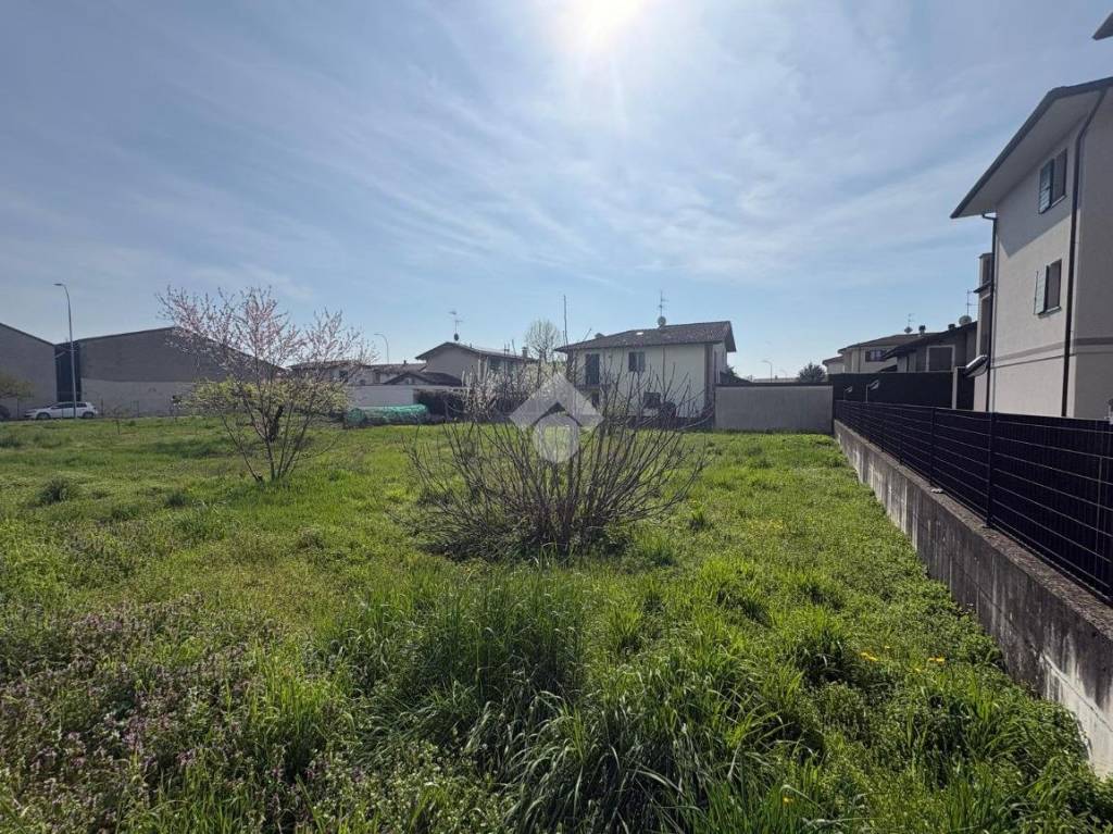 immagine annuncio 6 di 11