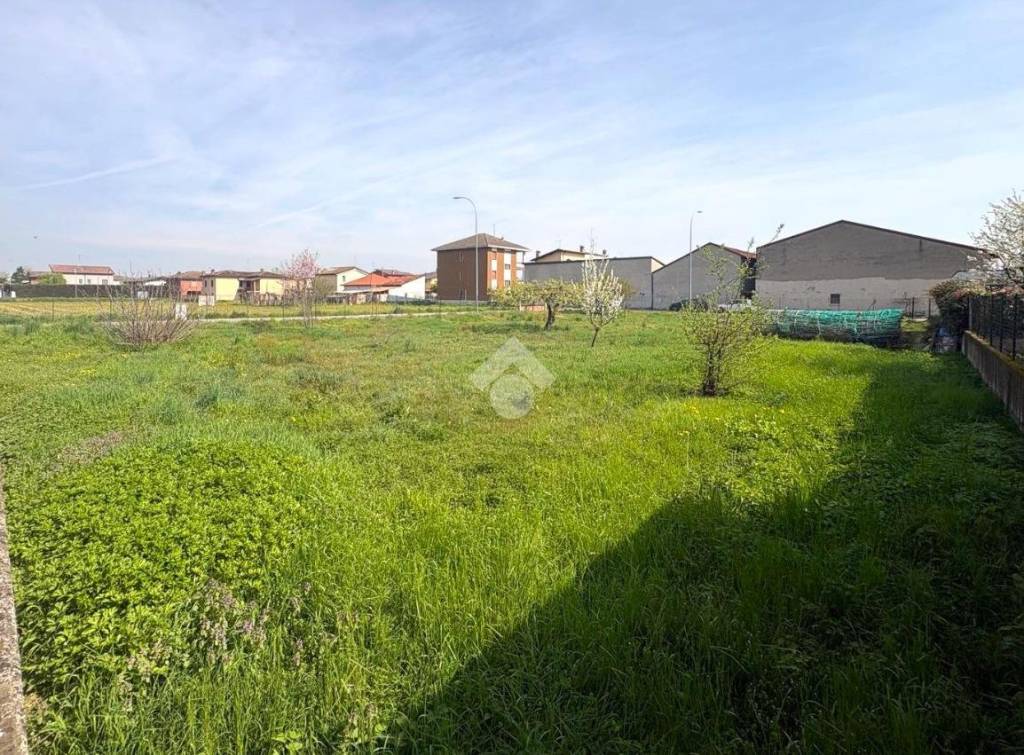 immagine annuncio 7 di 11