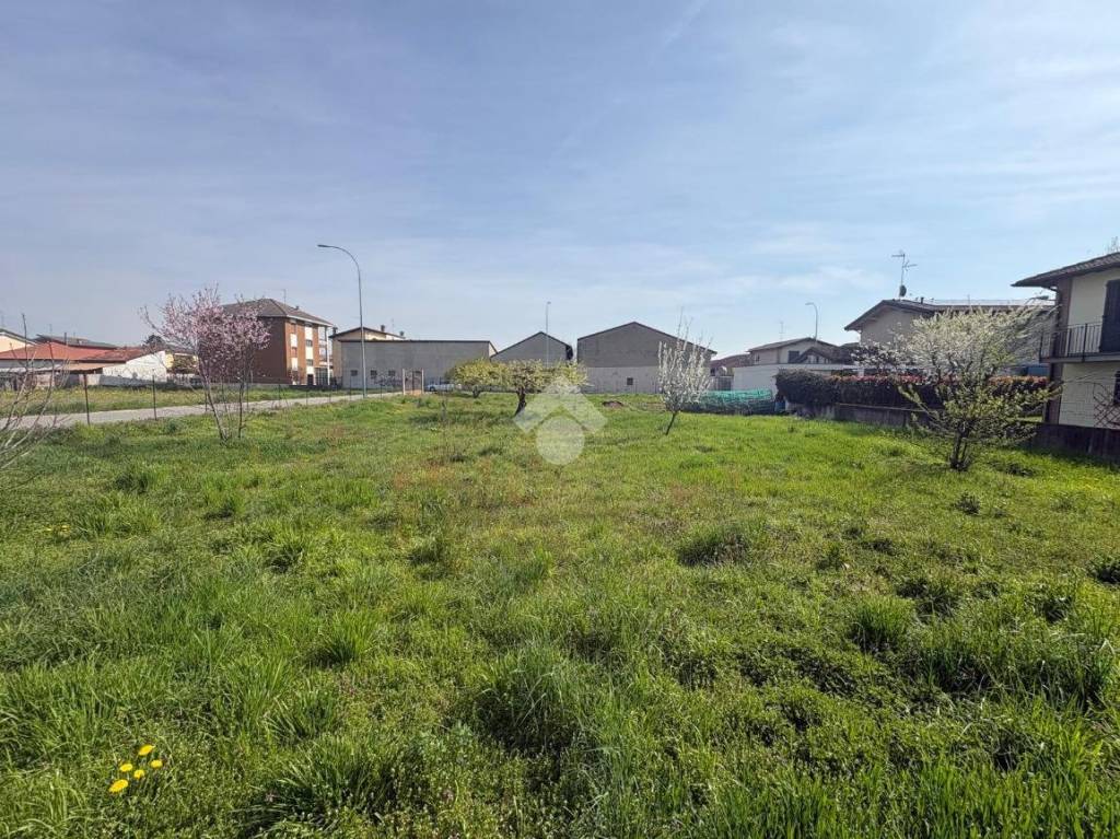 immagine annuncio 10 di 11