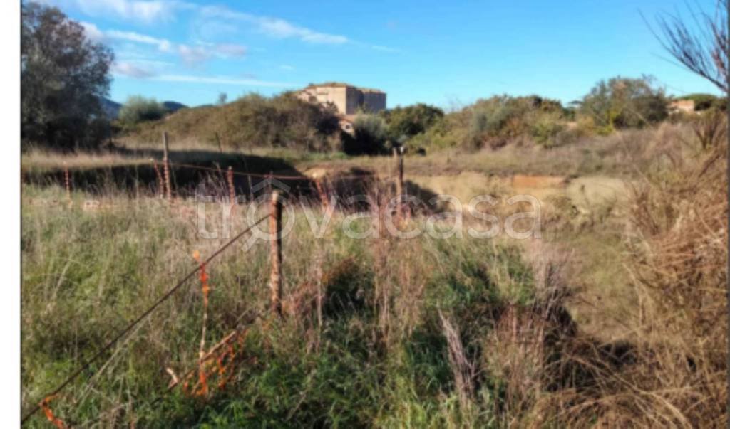 immagine annuncio 1 di 11