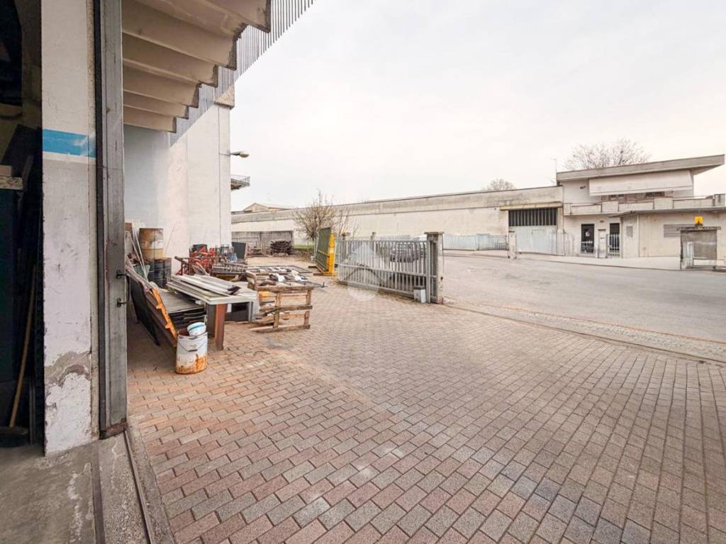 immagine annuncio 11 di 15