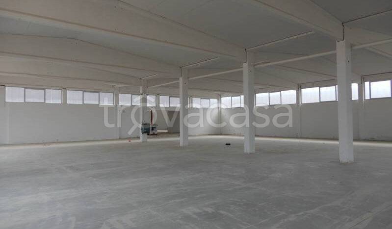 immagine annuncio 1 di 2