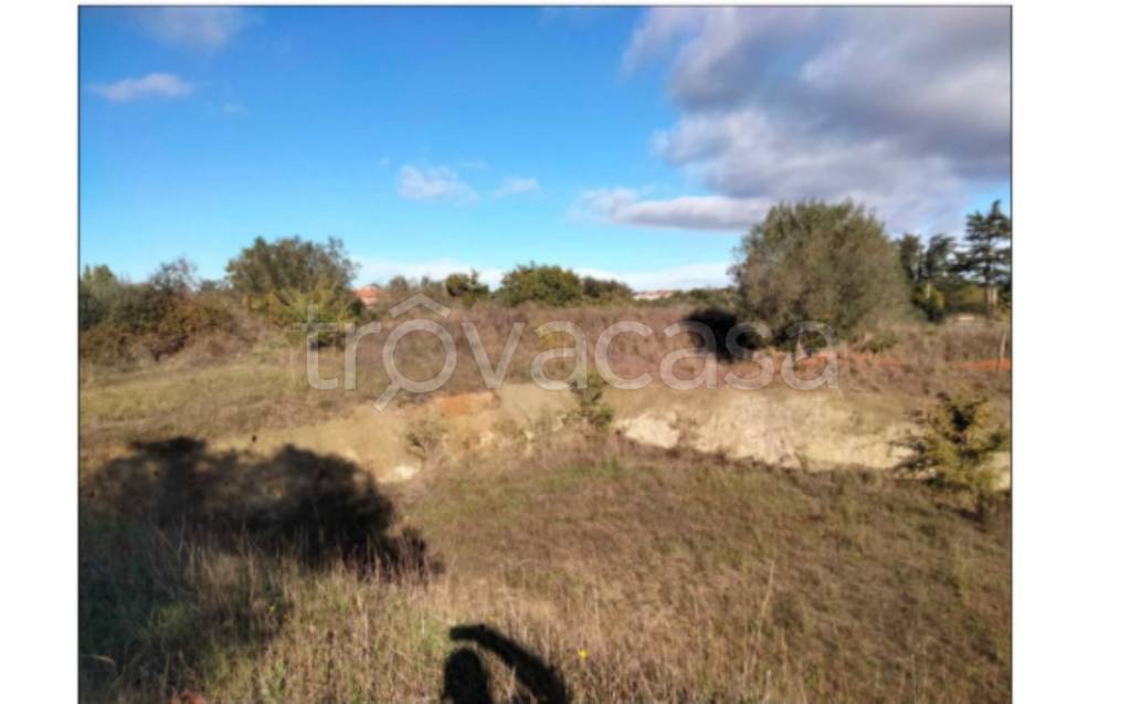 immagine annuncio 2 di 11