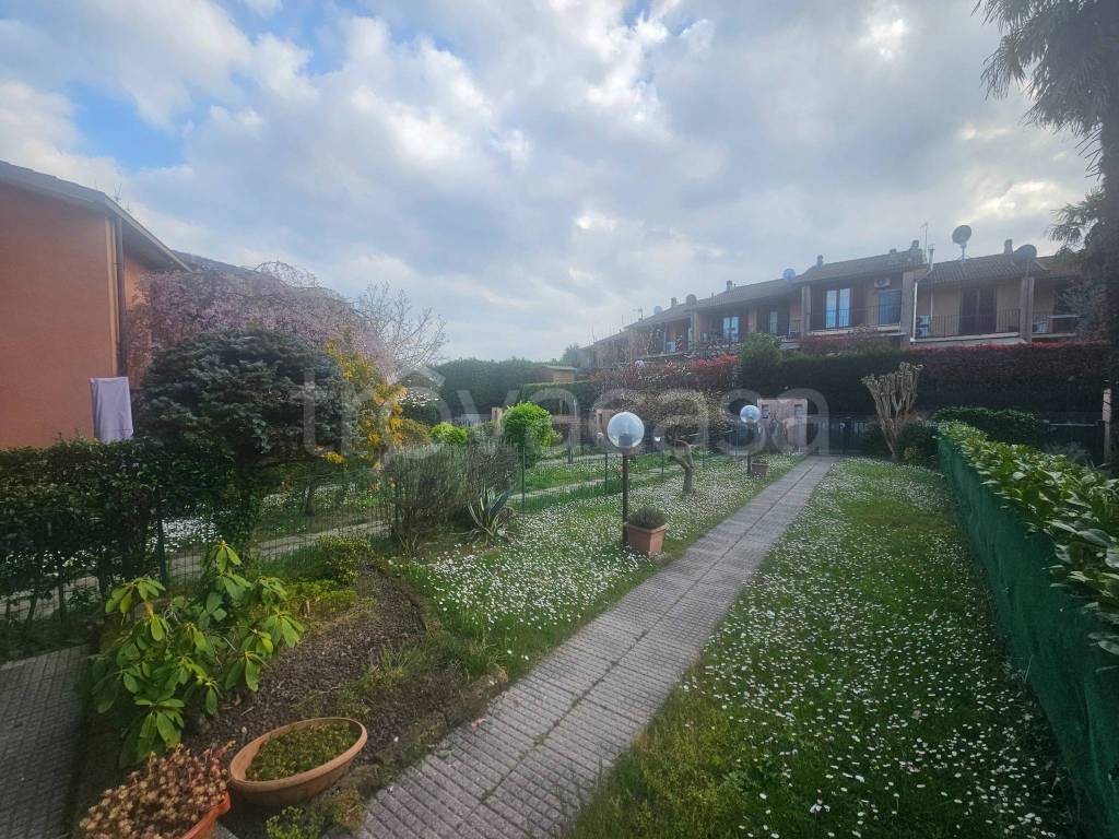 immagine annuncio 1 di 15