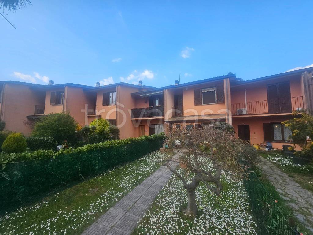 immagine annuncio 2 di 15