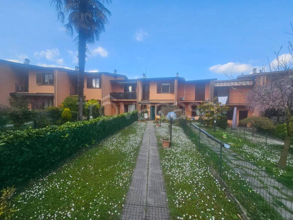 immagine annuncio 3 di 15