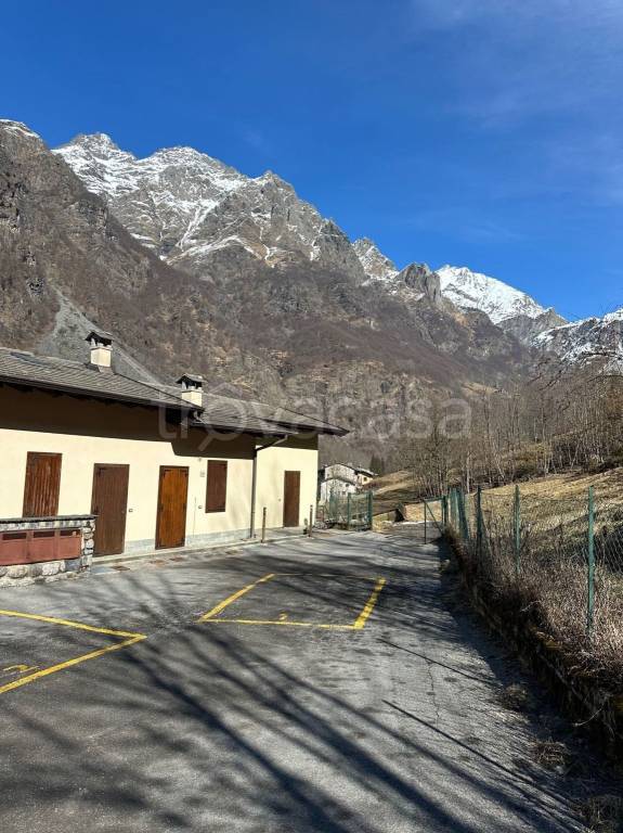 immagine annuncio 5 di 12