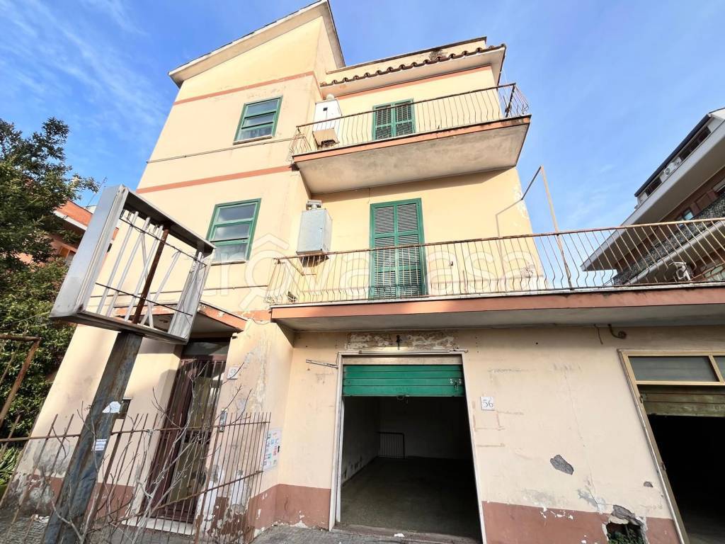 immagine annuncio 11 di 13