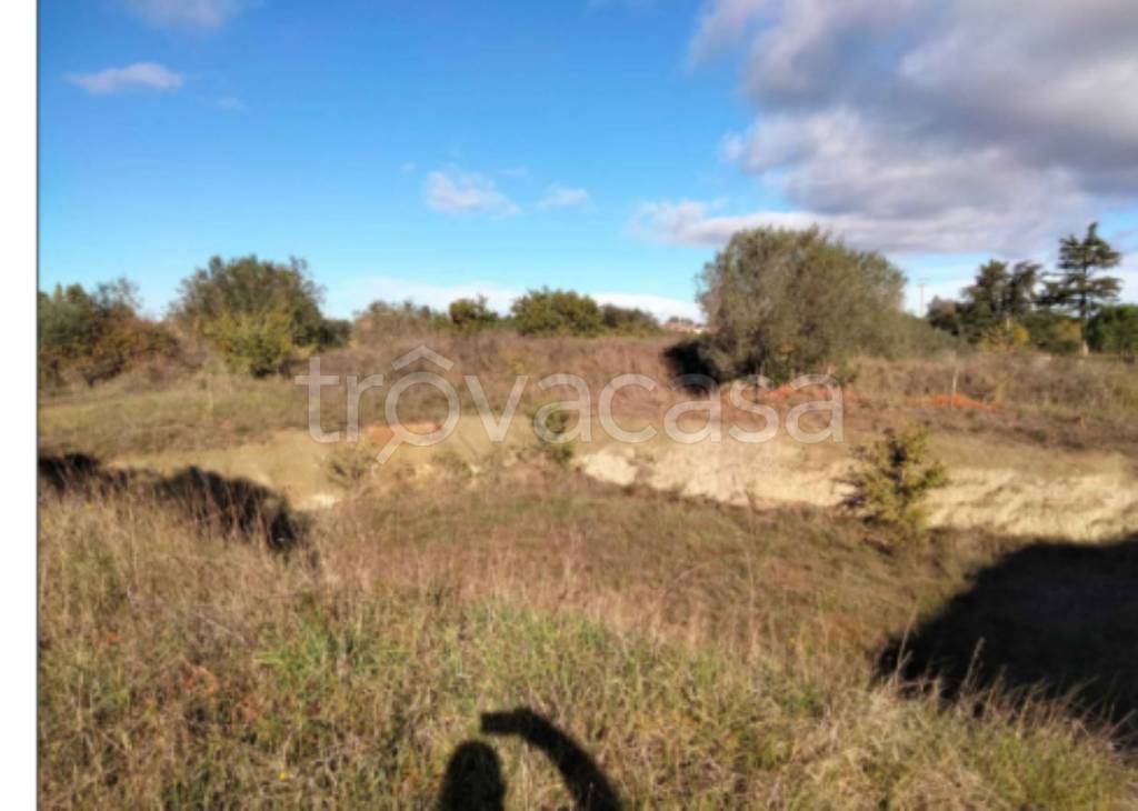 immagine annuncio 5 di 11