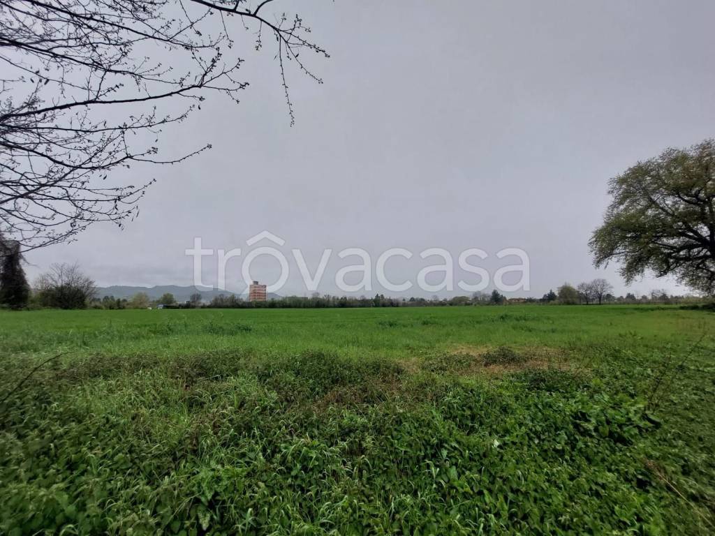 immagine annuncio 1 di 7