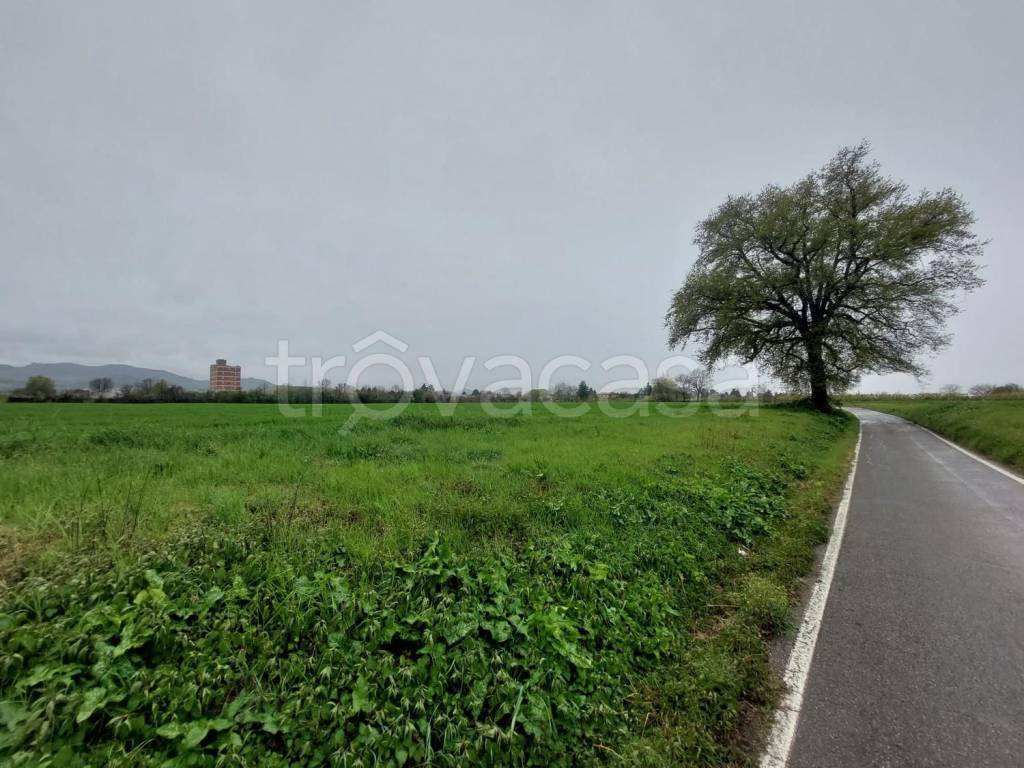 immagine annuncio 3 di 7