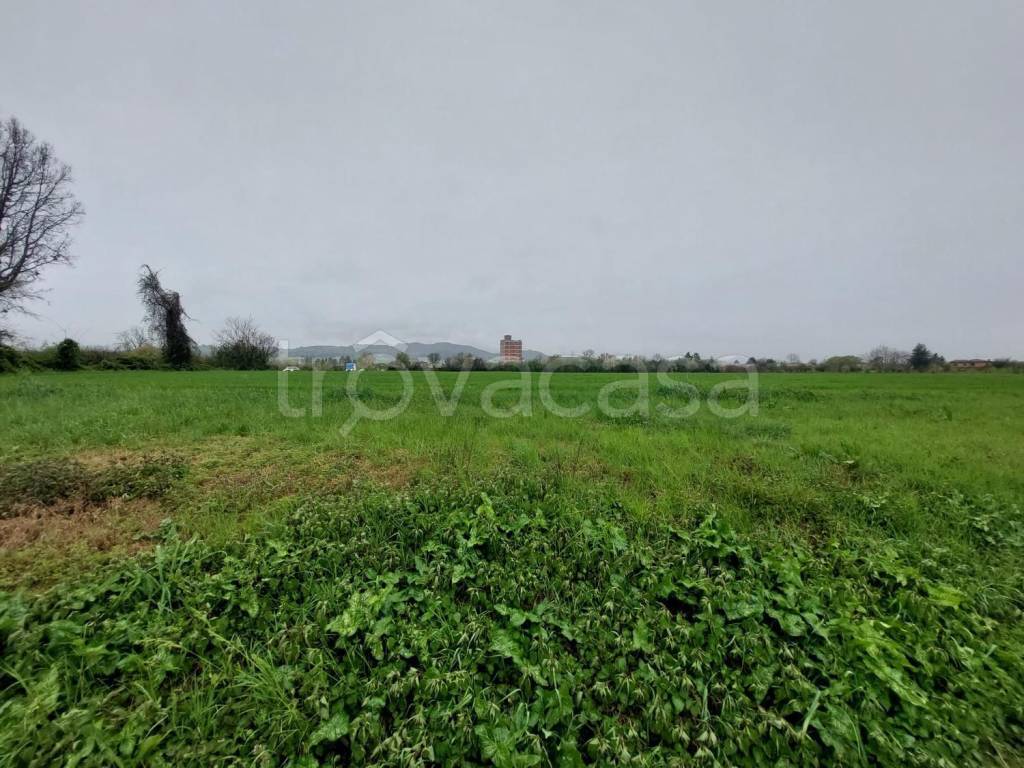 immagine annuncio 4 di 7