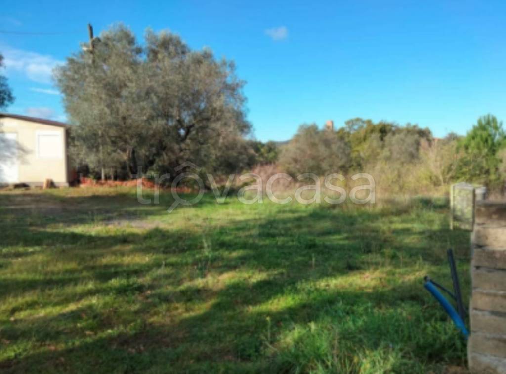 immagine annuncio 6 di 11