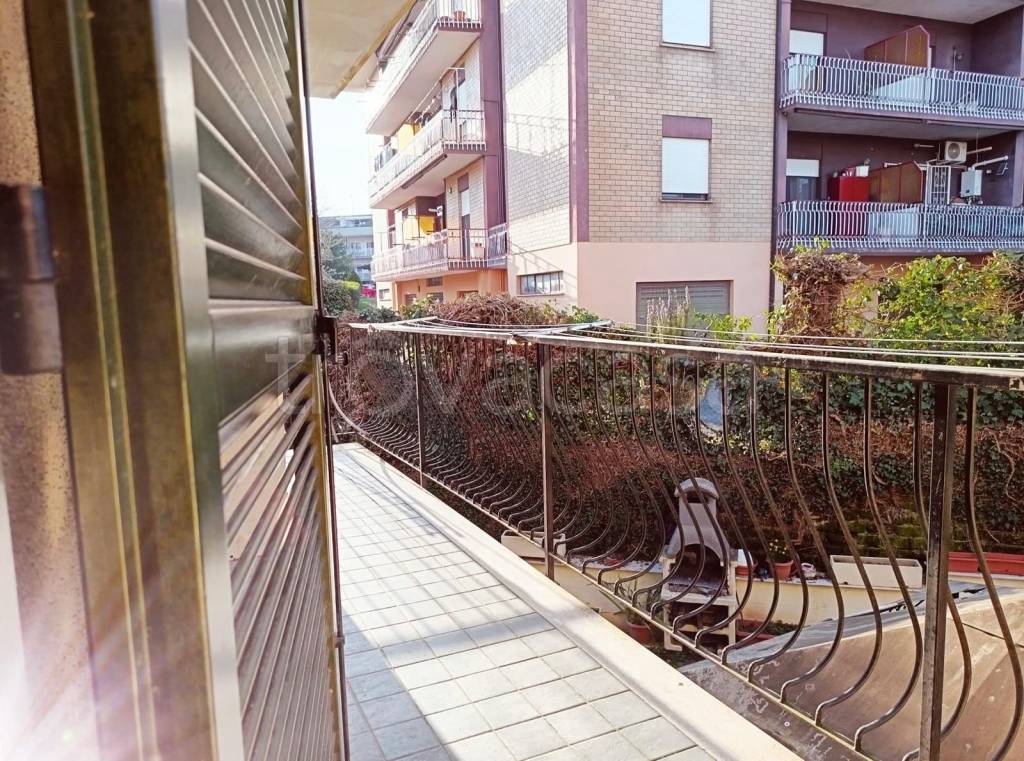 immagine annuncio 4 di 14