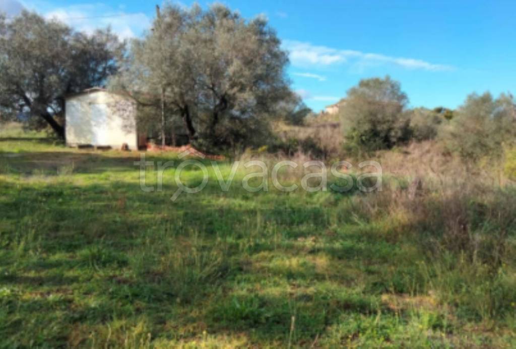 immagine annuncio 9 di 11