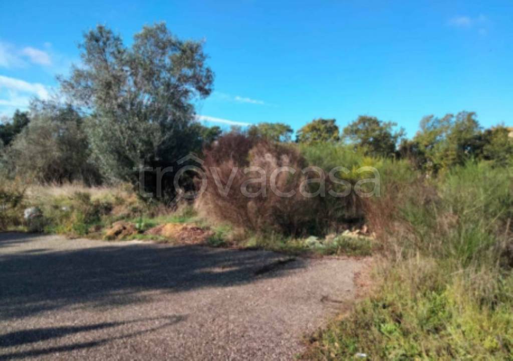 immagine annuncio 10 di 11