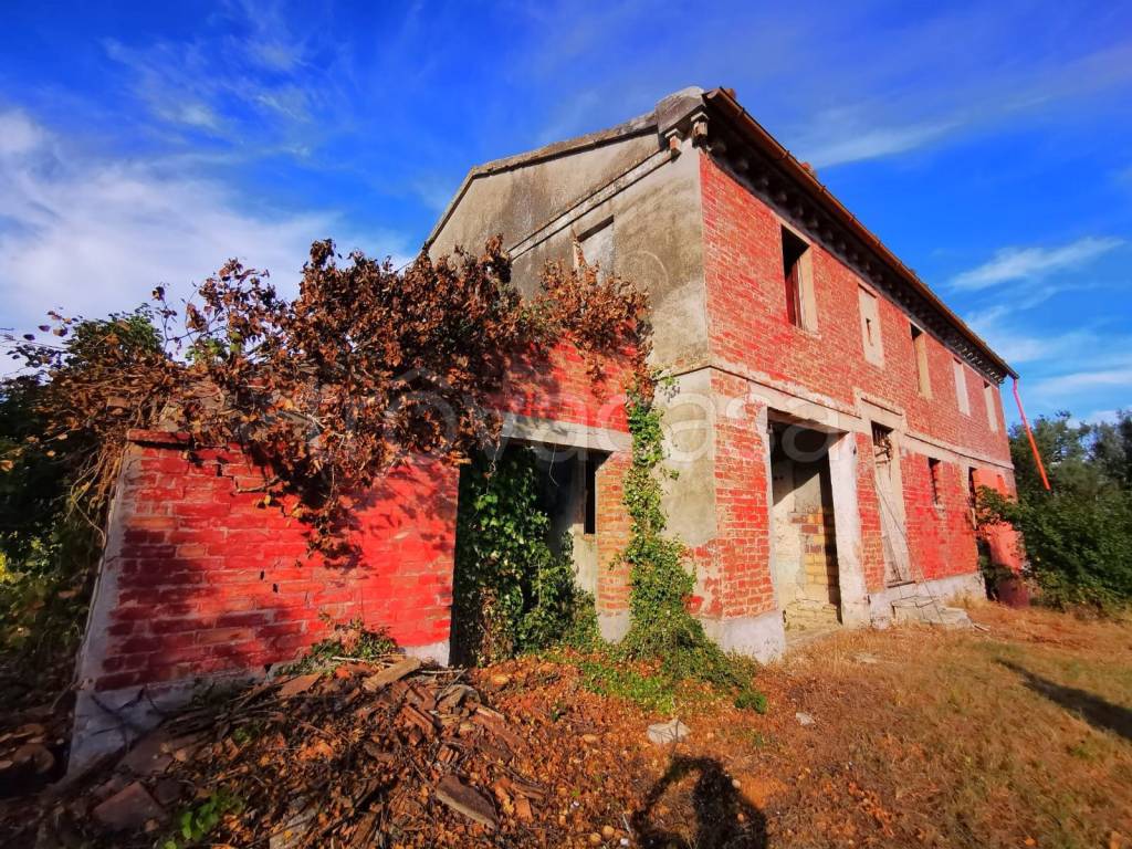 immagine annuncio 5 di 8