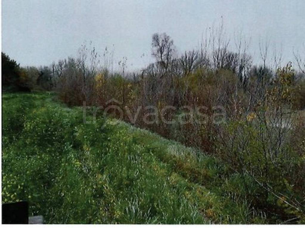 immagine annuncio 7 di 13