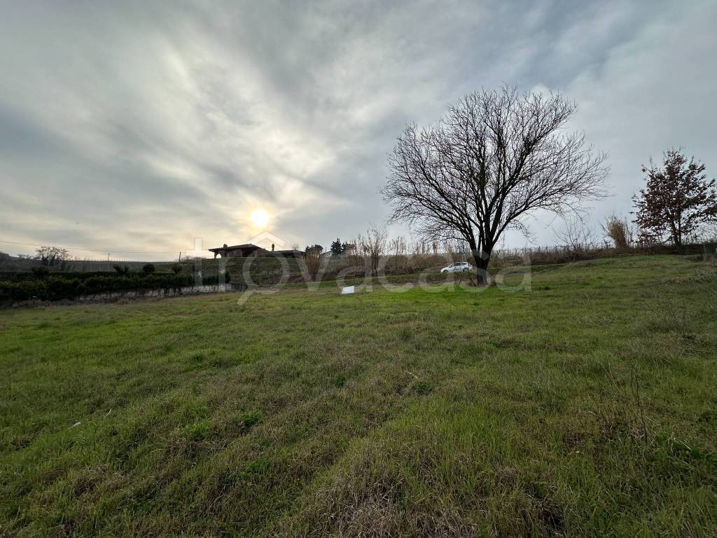 immagine annuncio 6 di 13