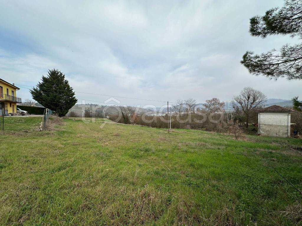 immagine annuncio 3 di 13