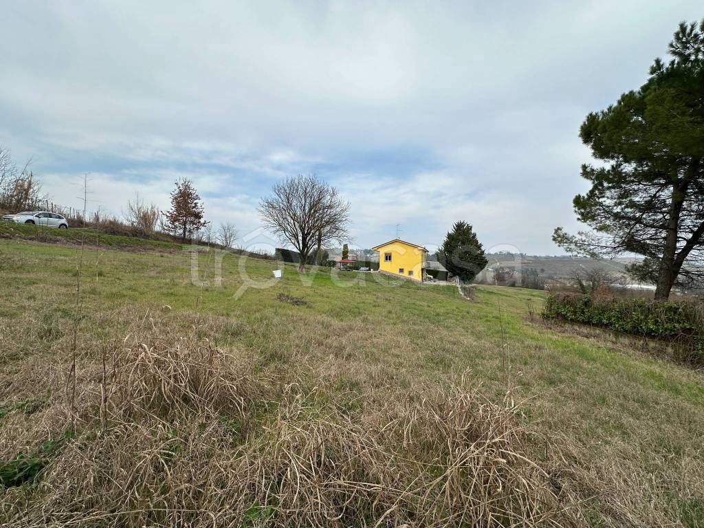 immagine annuncio 7 di 13