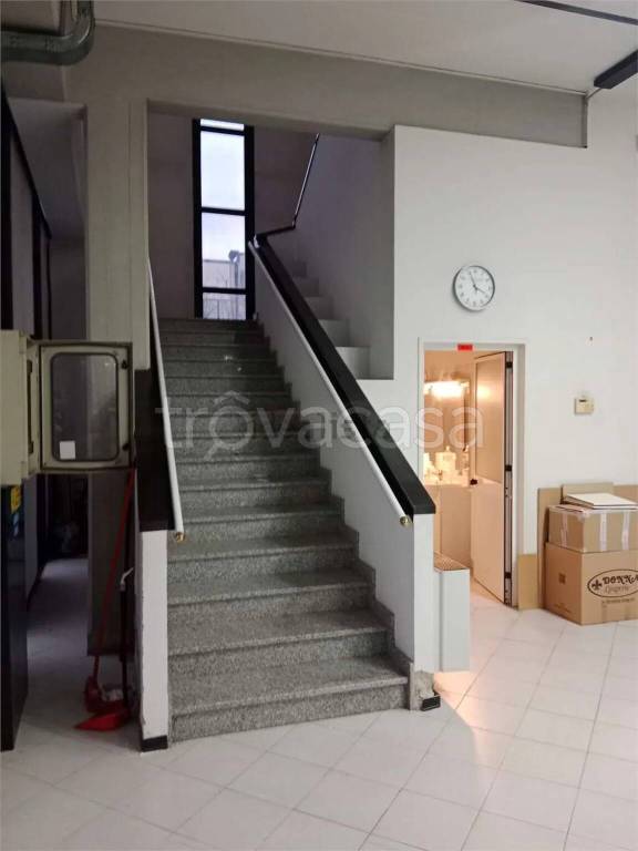 immagine annuncio 3 di 12