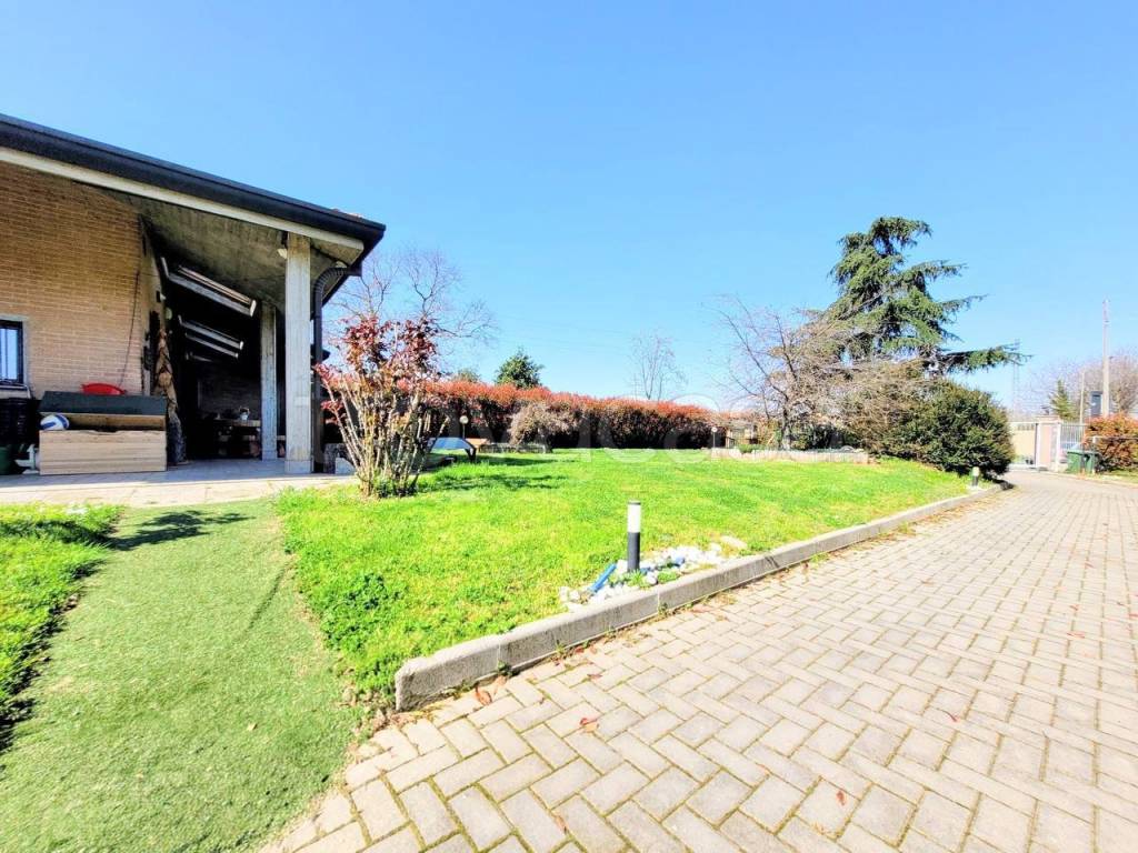 immagine annuncio 12 di 15