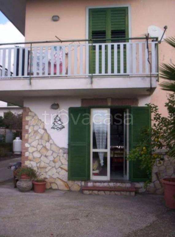 immagine annuncio 10 di 12