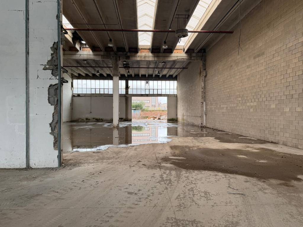 immagine annuncio 9 di 15