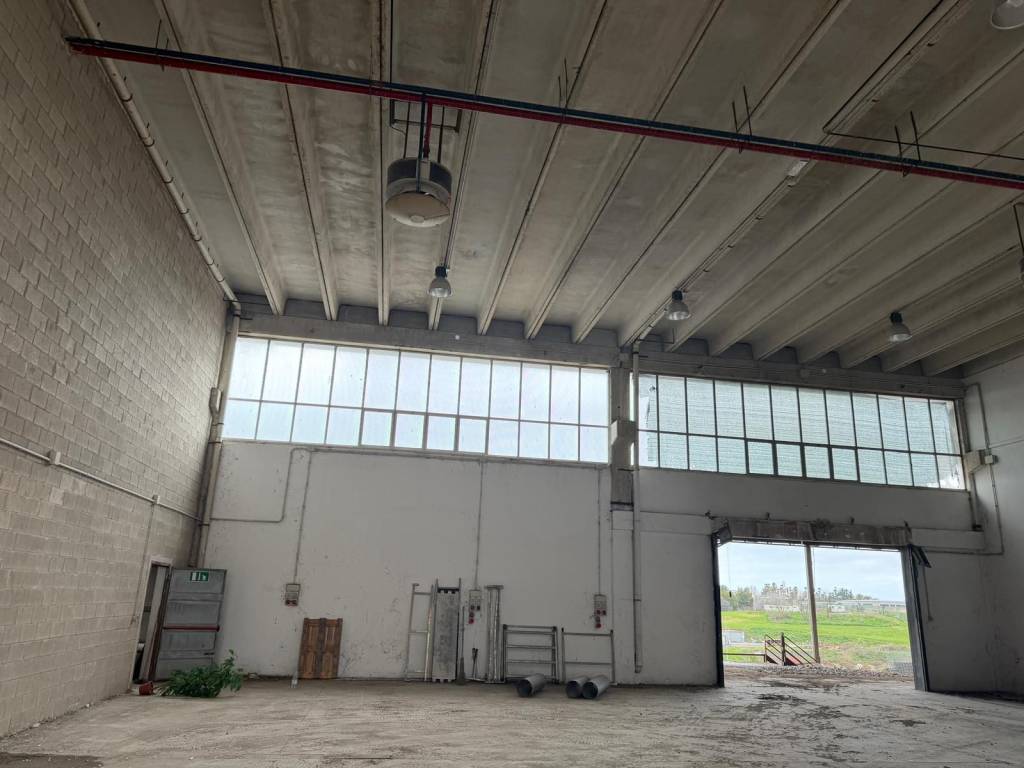 immagine annuncio 10 di 15