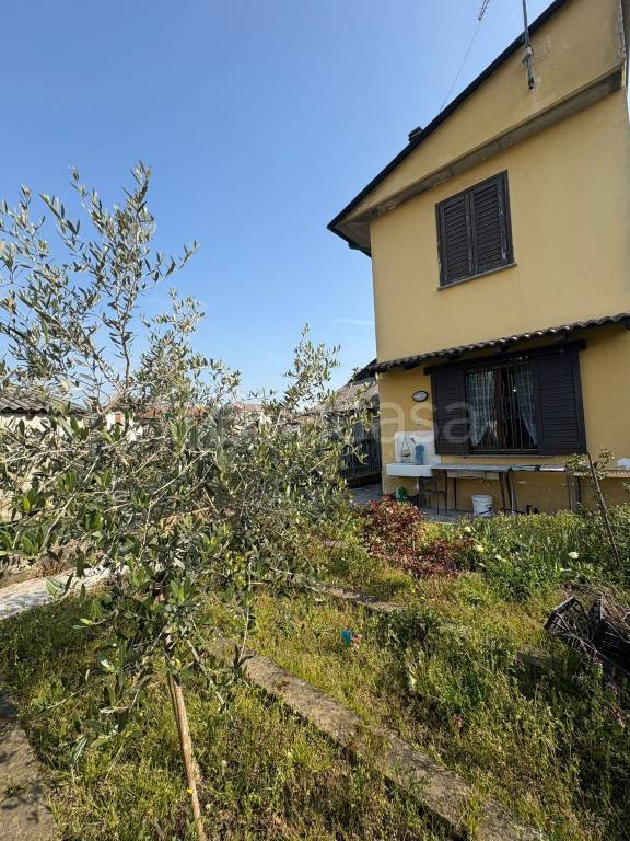 immagine annuncio 5 di 15