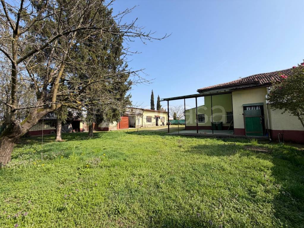 immagine annuncio 3 di 15