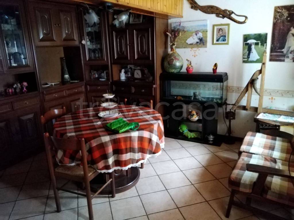 immagine annuncio 5 di 12