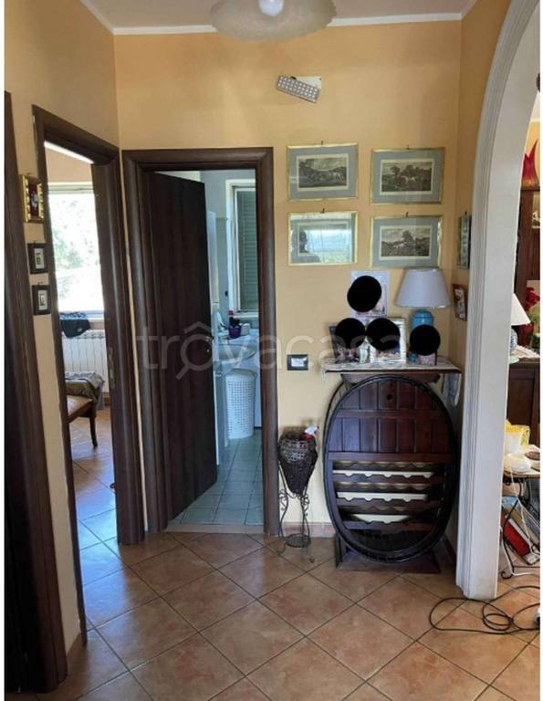 immagine annuncio 7 di 14