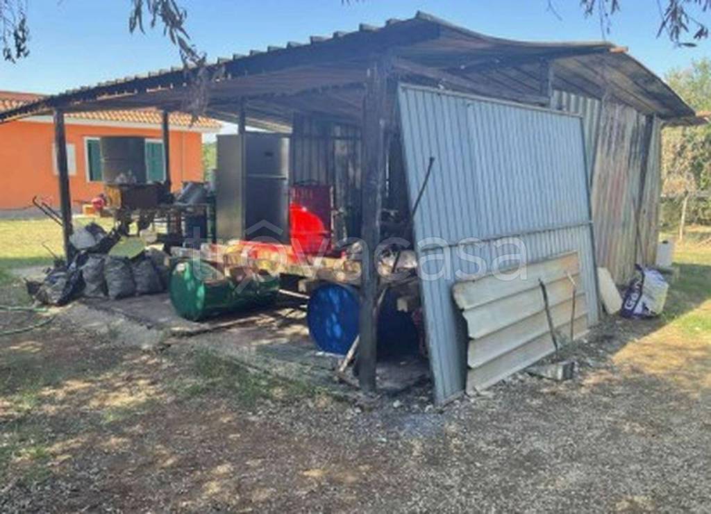 immagine annuncio 9 di 14