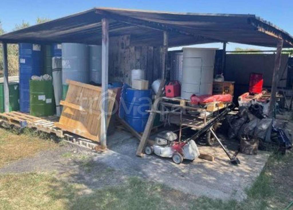 immagine annuncio 10 di 14