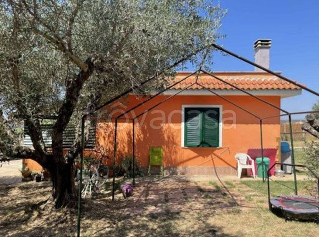 immagine annuncio 11 di 14