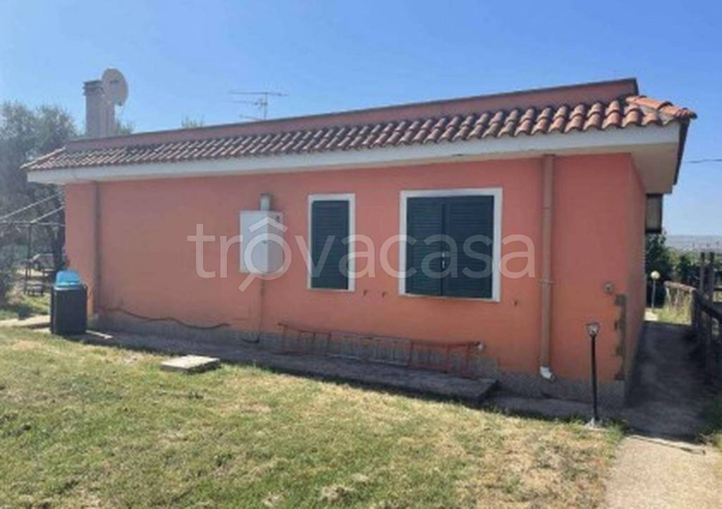 immagine annuncio 12 di 14