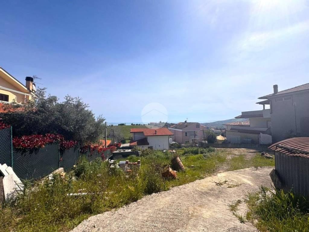 immagine annuncio 3 di 14