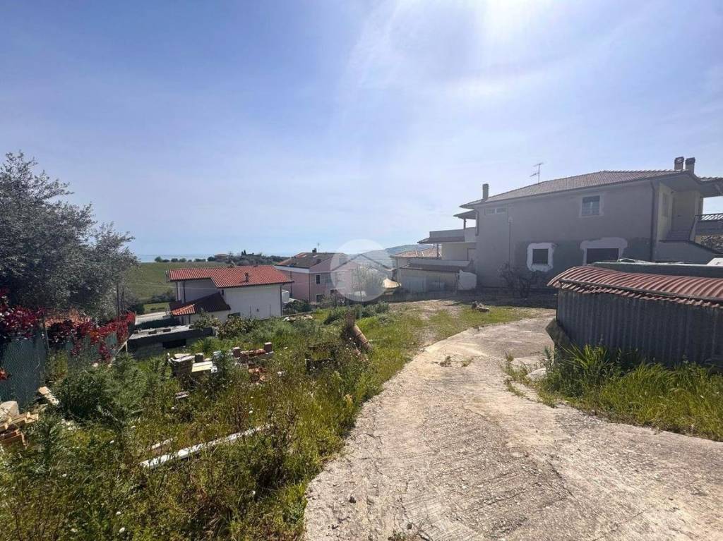 immagine annuncio 6 di 14