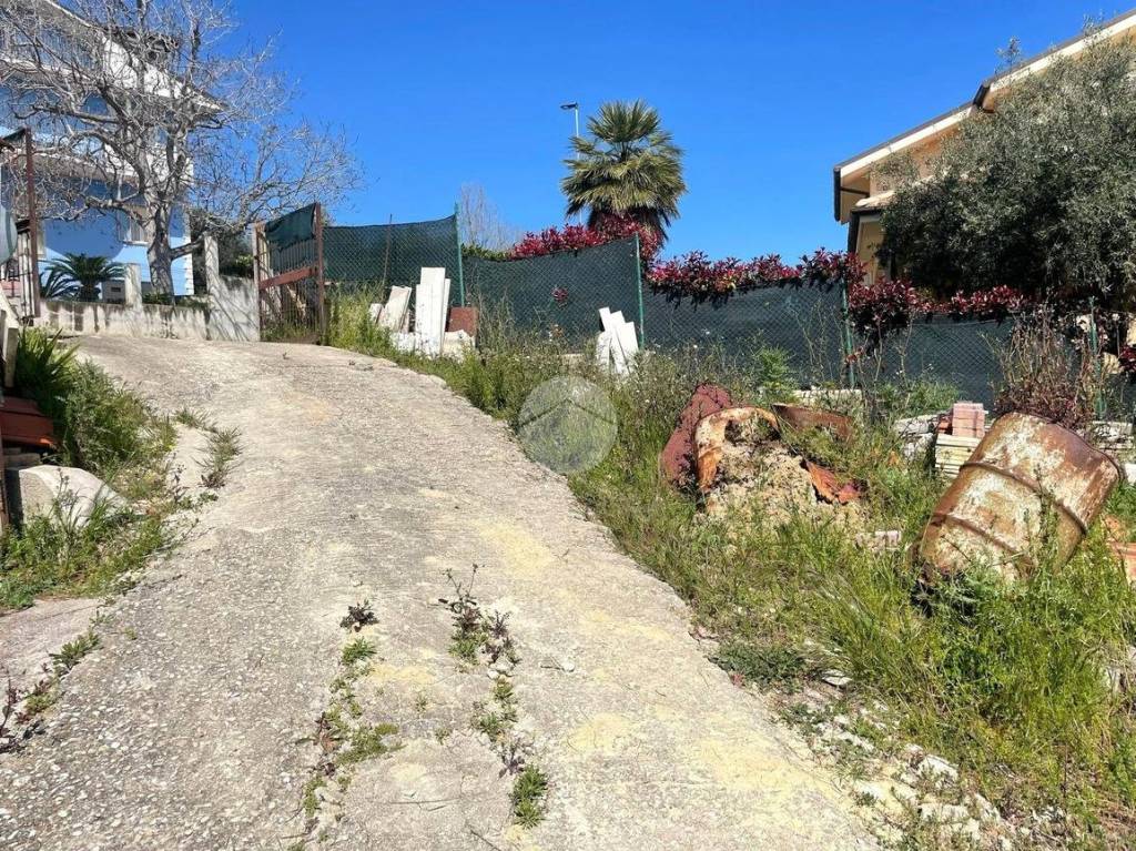 immagine annuncio 9 di 14