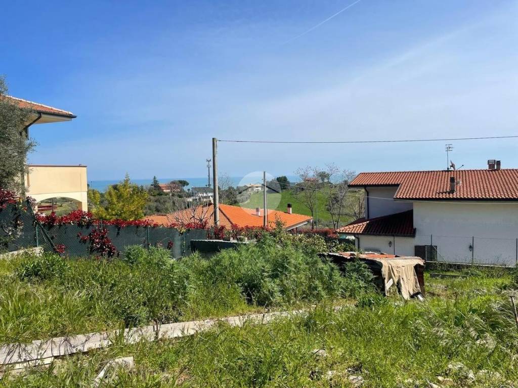 immagine annuncio 10 di 14