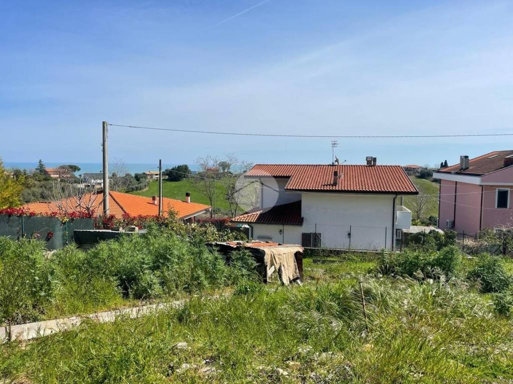 immagine annuncio 11 di 14