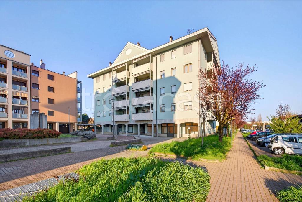 immagine annuncio 3 di 15