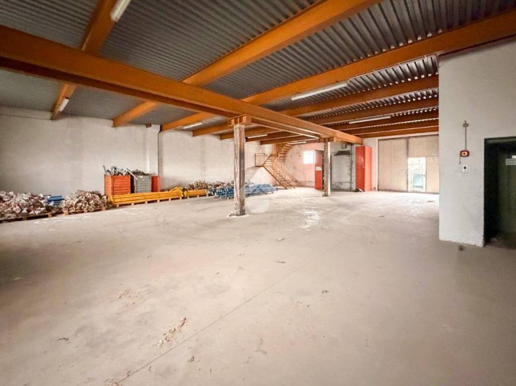 immagine annuncio 2 di 15