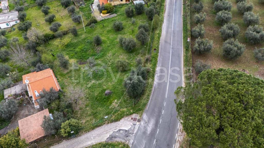 immagine annuncio 3 di 8