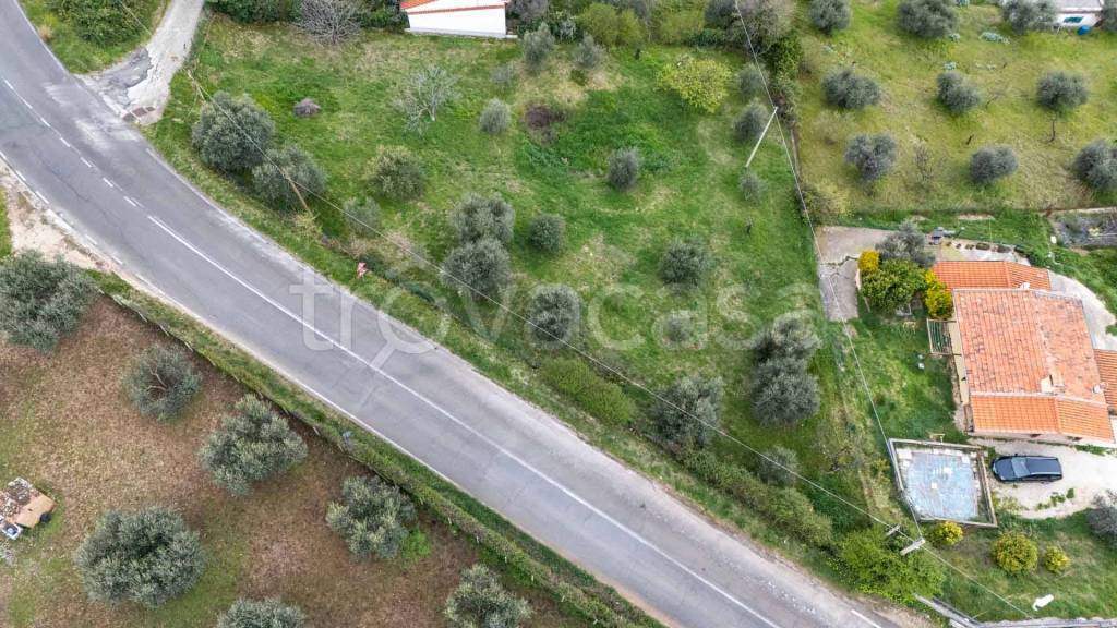 immagine annuncio 4 di 8