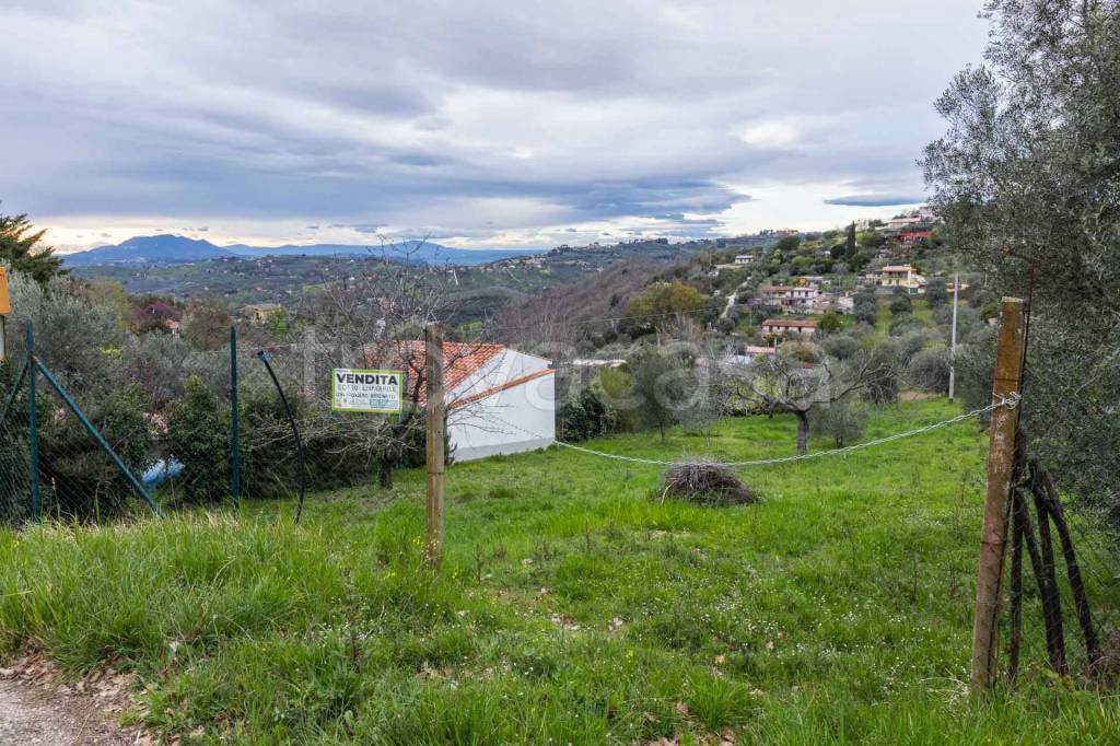 immagine annuncio 7 di 8